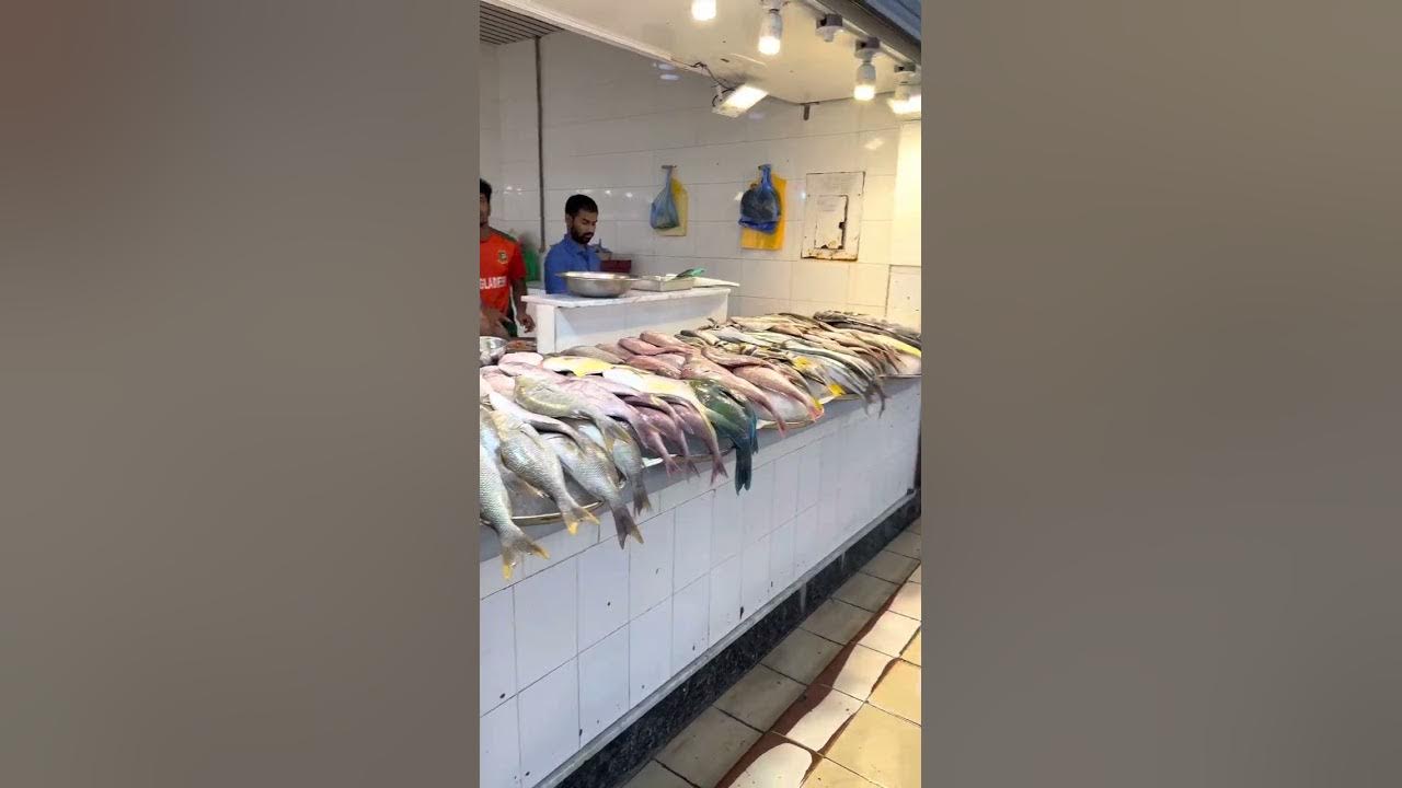 Fish Market Dammam Saudi Arabia Variety and every size of fish