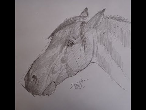 COMO DESENHAR A CABEÇA DE CAVALO PARA INICIANTES 