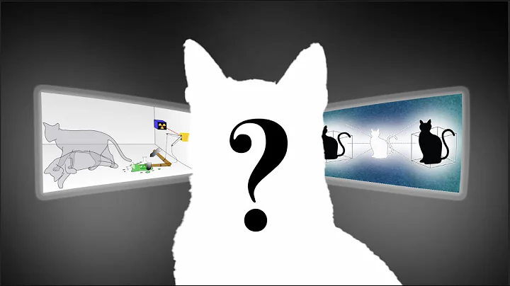 Schrödinger’s Cat: The Weirdest Idea in Science