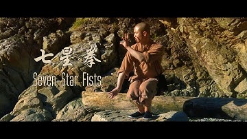 Seven-Star Fists (七星拳) by Master Shi Yandi (释延荻)