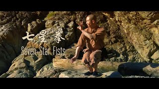 Seven-Star Fists (七星拳) by Master Shi Yandi (释延荻) screenshot 4