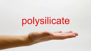 How to Pronounce polysilicate - American English
