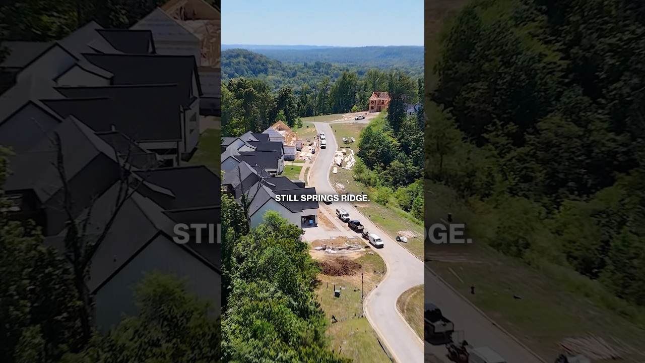 🎬 The Vision is Taking Shape