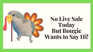 Bougie Says HI - No Live Sale Today