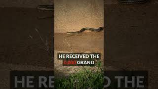 Tampa Man Wins $10K Catching 96 Pythons