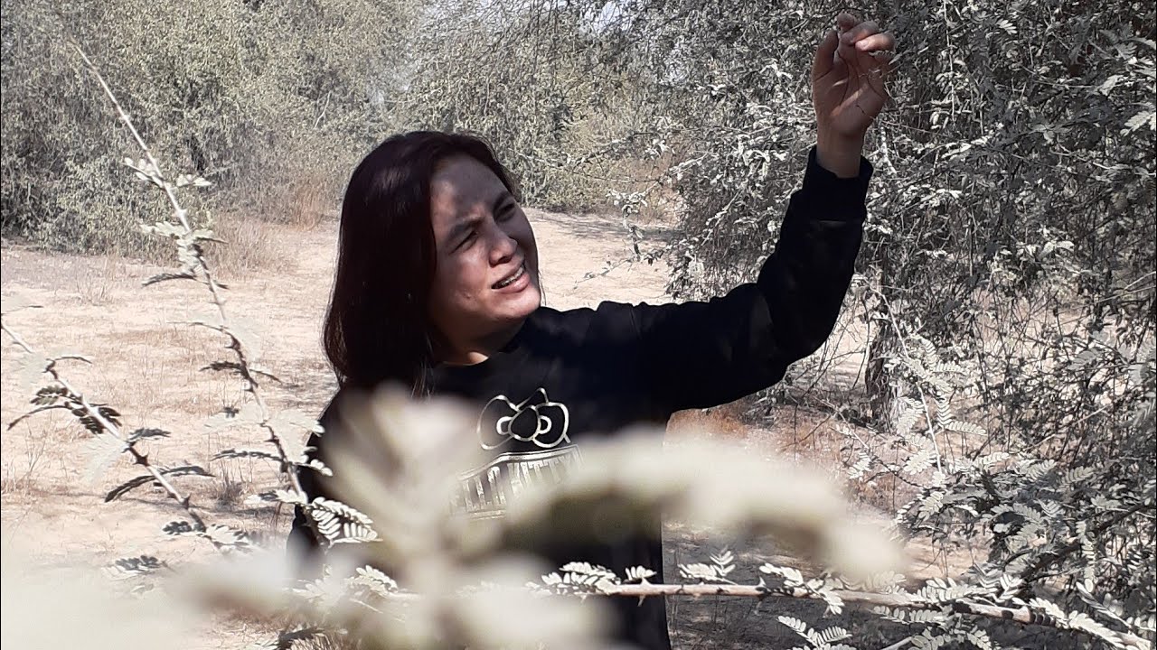 Dubai Park Musriff |Play|Fun|Relax