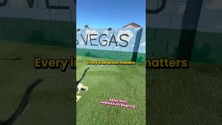 Teaching a New Dog to Regulate Excitement (Real-Time Training Session)