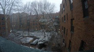 Phipps Garden Apts.