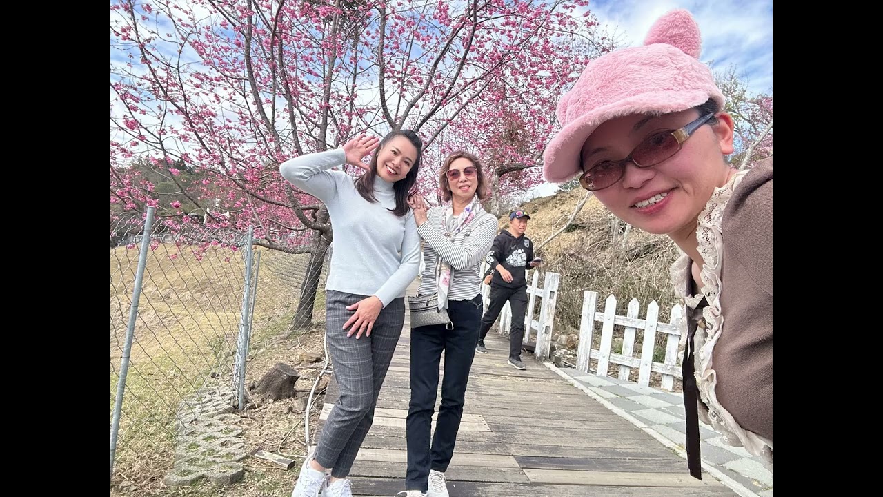 西瓜家族20260224-25清境農場賞櫻.藍色城堡法式下午茶二日-2