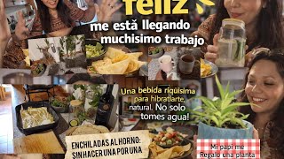 Cuál es la intención real de esto? mi receta de enchiladas al horno ,Carlos nos  consintió spaghetti