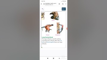 #All about Birds    #Grade 3  #Lesson 4        Science For Kids  #part 1  #Bird Behavior