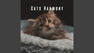 Feline Zen Melodies