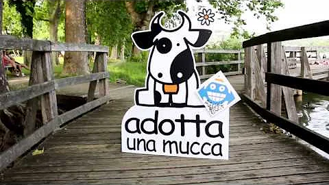 Alzheimer Fest 2018: Michele Farina intervista Ste...
