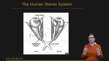 Stereo Vision in Nature | Uncalibrated Stereo