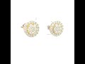 Video: 10Kt Gold Earrings With Moissanite Ctw 0.97