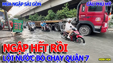 KINH HOÀNG - BIỂN NƯỚC "NGẬP LỤT" TRÀN QUẬN 7 & XE MÁY LỘI NƯỚC CHEN XE TẢI DƯỚI CẦU PHÚ MỸ QUẬN 7
