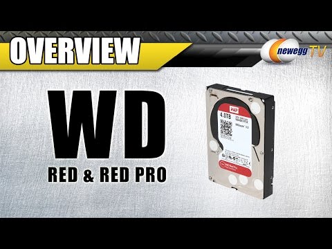 WD Red & Red Pro Nas Hard Drives Overview - Newegg TV