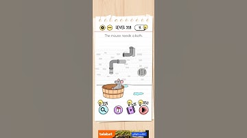 Brain Test level 318, the mouse needs a bath.