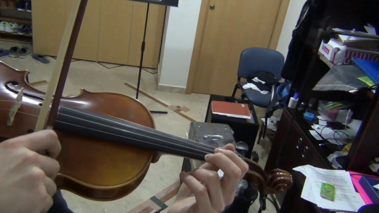 The End of the Battle -  Shadow Of Colossus  - Violin Cover