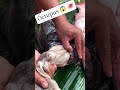 Terrifying octopus emerged from fish mouth 😱#fishing #viral #sea #ytshorts #ytshorts #shortsfeed