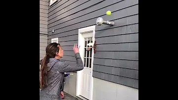 Dawgs Madeline Parrot Hand Eye Coordination 