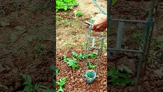 A clever idea for planting seeds using a super-practical, creative tool #shorts