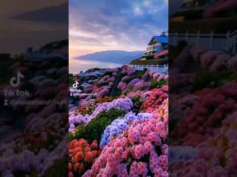 أغنية ما شممت الورد إلآ زادني شوقا إليك بصوت مصطفى العفيفى يارب تعجبكم بدون موسيقى