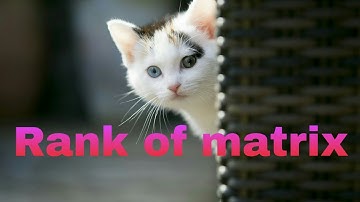 TRB/TNEB Engineering mathamatics common to all matrix- Rank of matrix