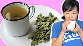 Civil War Coffee Alternative - Yaupon Tea - N. Americas Only Native Caffeinated Plant Hard Times