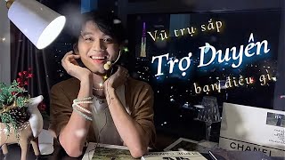 Vũ trụ sắp "TRỢ DUYÊN" bạn điều gì ⭐️♥️ Kitoàn Tarot Channel