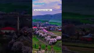 Sana Olan Hasretim Resimi