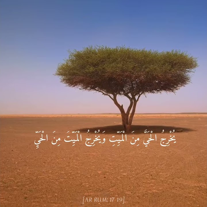 Beautitul Quran Recitation Surah Ar Rum, verses 17-19 Abdullah Al Khalaf