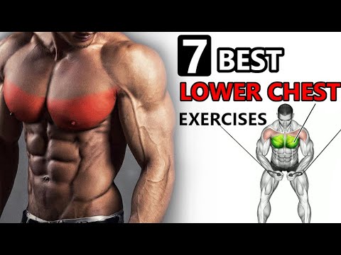 Best Lower Chest Workout