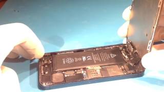 Установка нижнего шлейфа iphone 5