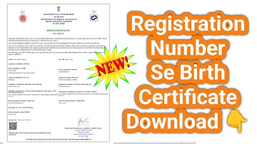 Registration Number Se Birth Certificate Download 2024 🔥 Old Birth Certificate Registration Number