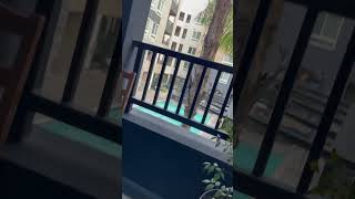 Griffith Apartments Neighbors Dog Barking 7:35 AM Monday, September 11, 2023￼
