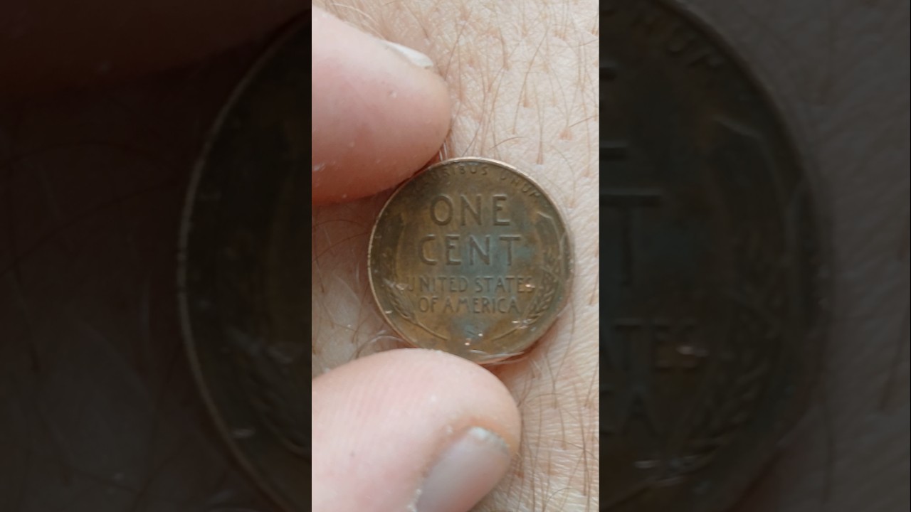 earned by trimming deep into grass on sidewalk while edging extra for a customer :) 1952 D Wheat