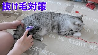 猫の抜け毛対策にファーミネーターを試してみました。