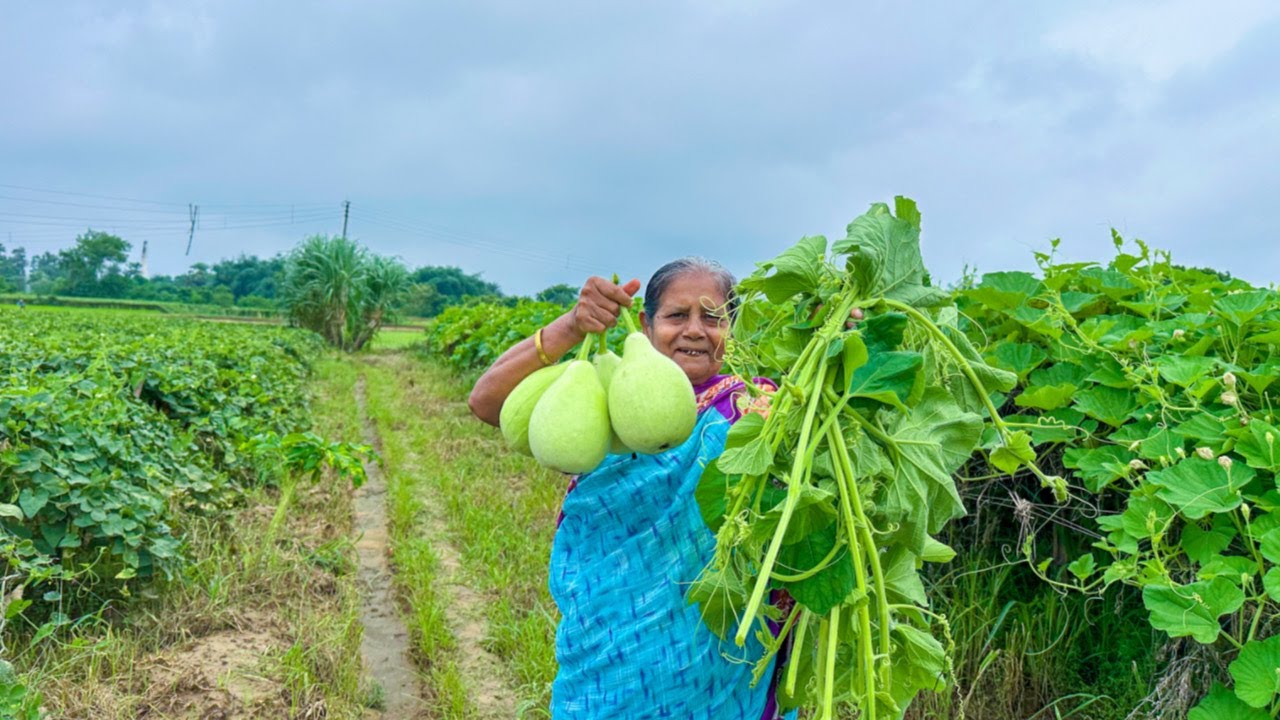 কচি কচি লাউ শাকের ডগা রান্না তার সাথে লাউ ডাল |
