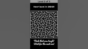 Maze Brain Game Challenge: Can You Solve All 3 Levels? 🧩🕵️