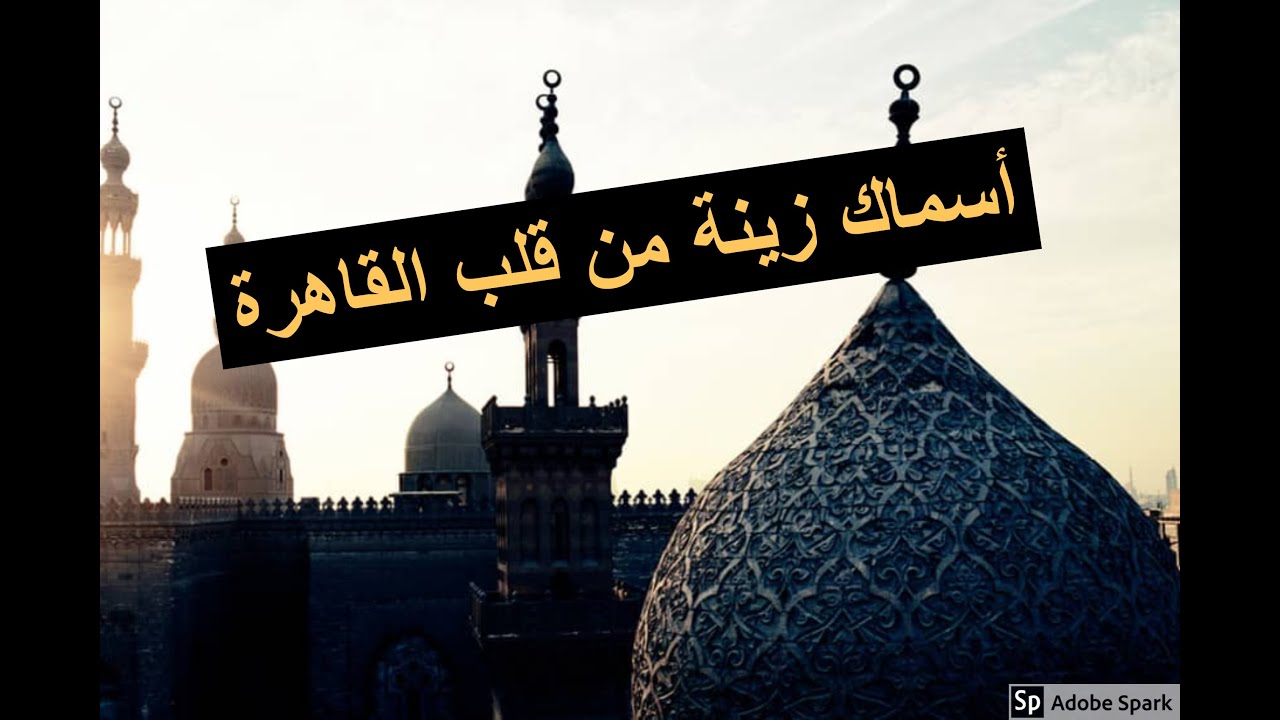 شراء اسماك زينة من قلب القاهرة