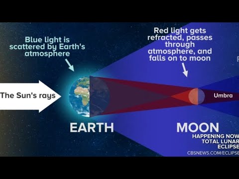 Double Header: Perseid Meteor Shower And Solar Eclipse This Weekend