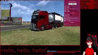 ETS2MP with radish