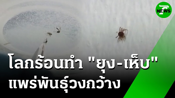 โลกร้อนทำ "ยุง" กับ "เห็บ" แพร่ขยายพันธุ์ : ภาวะโลกร้อง | 11 ก.ค. 68 | ไทยรัฐเจาะประเด็น