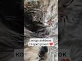 #кот #котик #котики #мем #прикол #любовь #love #cat #like #лайк #топ #кошка #ржака #смех #юмор #мяу