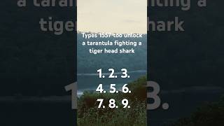 Type 1557 really fast