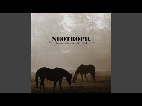 Neotropic — In These Days (Deltason Remix)