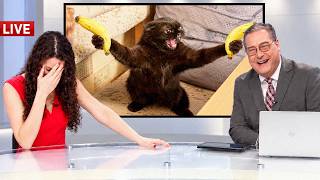 Every Live Animal News Bloopers That Ended in Pure Laughter