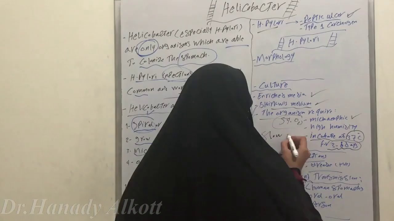 🥴🤒🤯Helicobacter pylori Part 1🤢👀👽🤫
