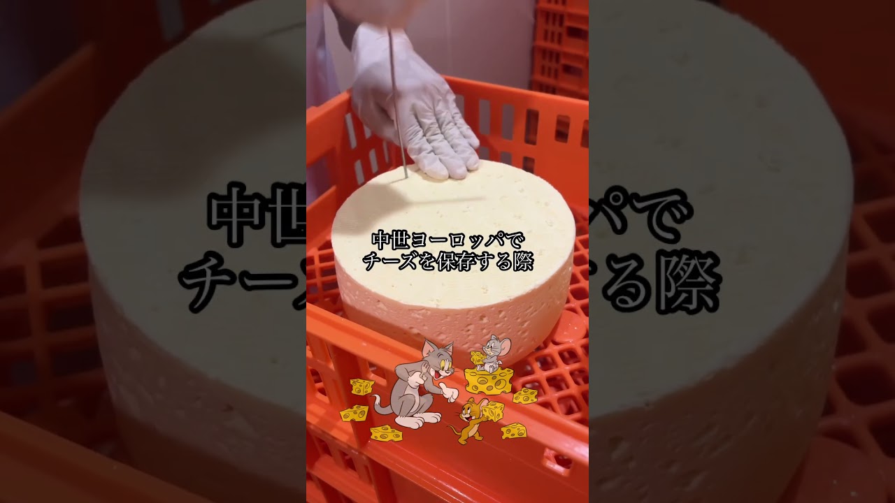 【雑学】ネズミはブルーチーズが嫌い